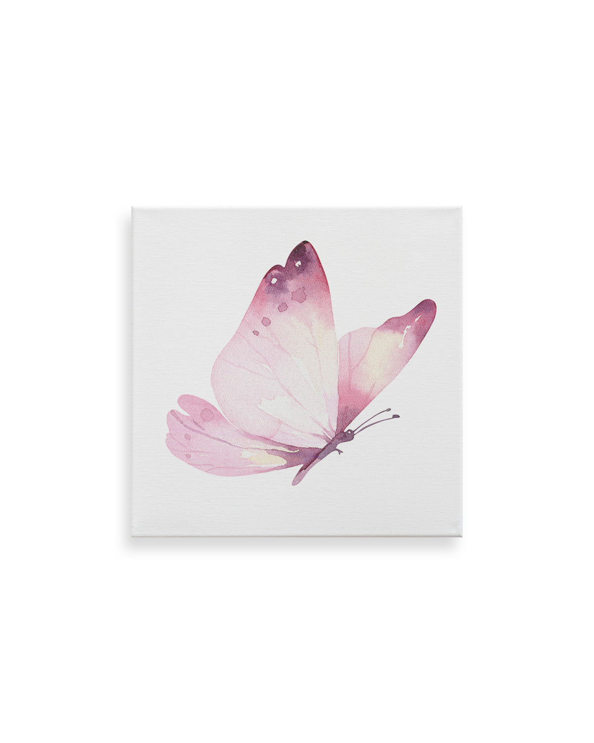 Mariposa Acuarela color Pastel 01 – QWallArt