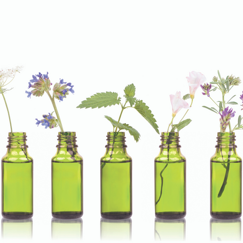 aromatherapy essential oils