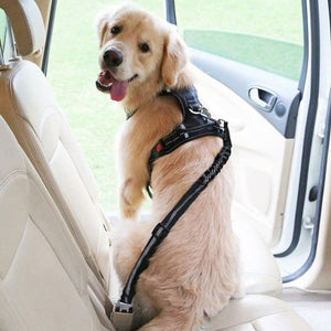 pet seat belt