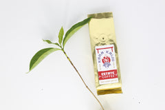 small coffee bag and coffee tree