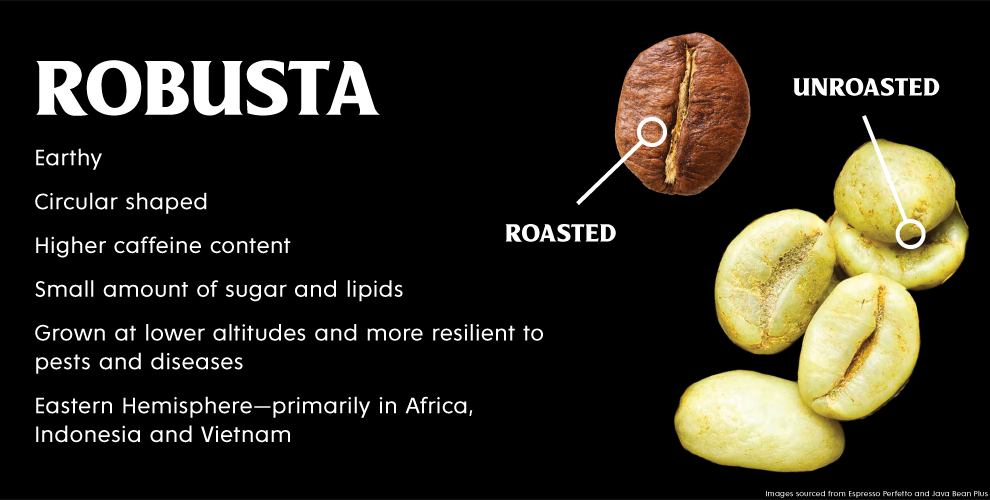 The Rise of the Robusta Coffee Bean – Death Wish Coffee Company