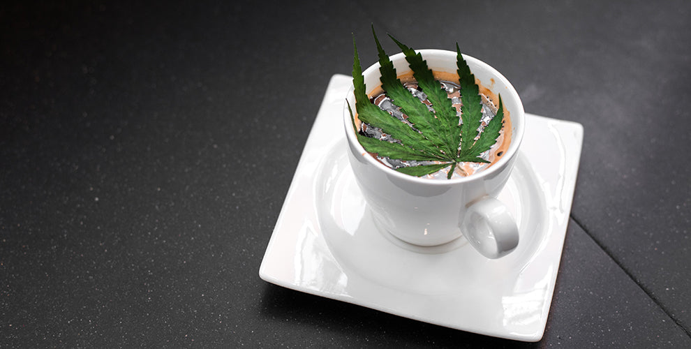 A coffee mug with CBD-infused coffee in it and a green marijuana leaf on top.