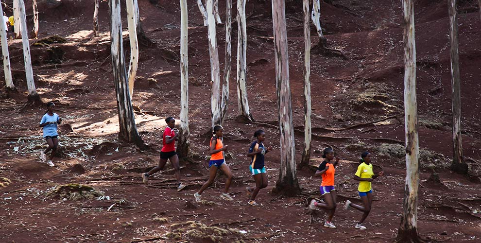 A group of Ethiopian girls running through the Bekoji forest.