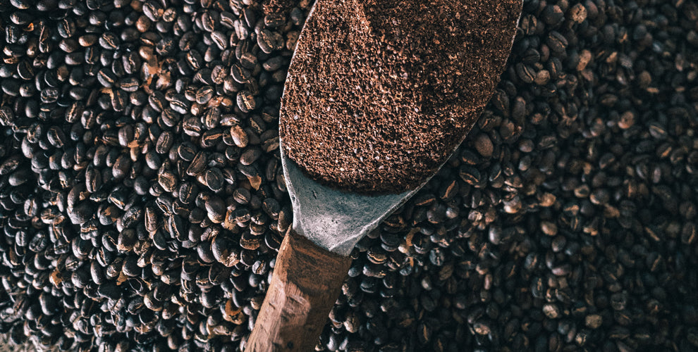 Colombian Arabica Coffee Beans and Grounds.