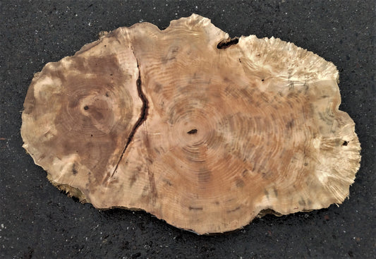 What is a Live Edge Burl Wood Slab, and What are its Common Uses? - Global  Wood Source