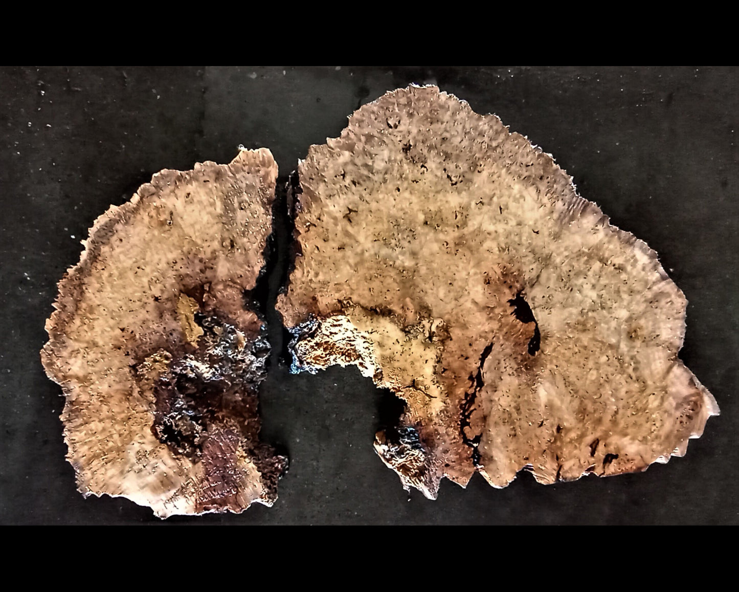 Maple burl | river table | serving trays | DIY crafts | 22-0466