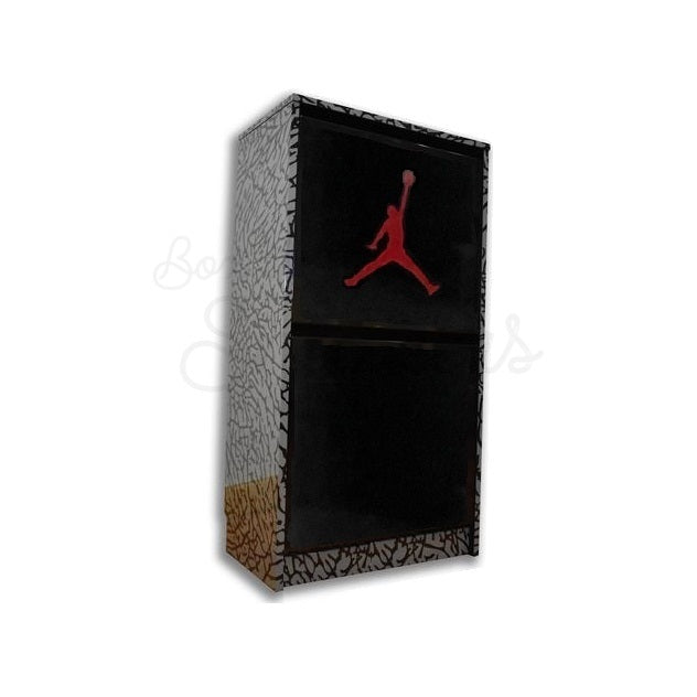 air jordan shoe storage