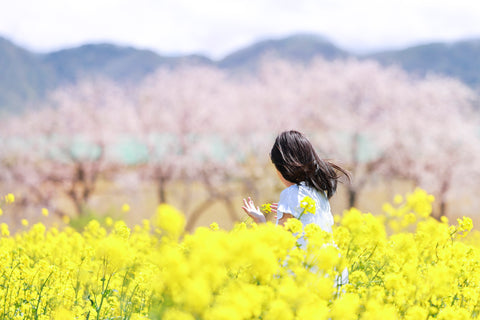 花雑貨のワークショップ・花と木の実cocochiya・菜の花・桜・小布施町