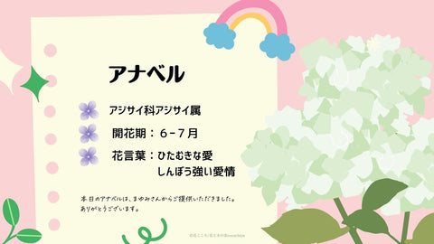 花と木の実cocochiya・花こころ・長野県小布施町ボランティア・小学校フラワーアレンジメントクラブ