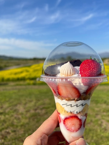 花と木の実cocochiya/長野県小布施町フラワー教室・太陽の丘マルシェ