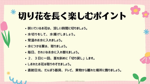 切り花の楽しみ方・花と木の実cocochiya