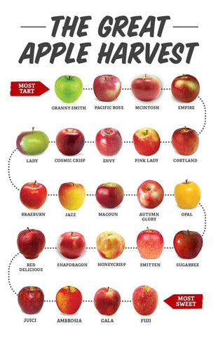 What's the Healthiest Apple? 5 of the Best Types