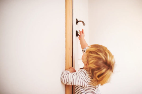 child proof deluxe door top lock