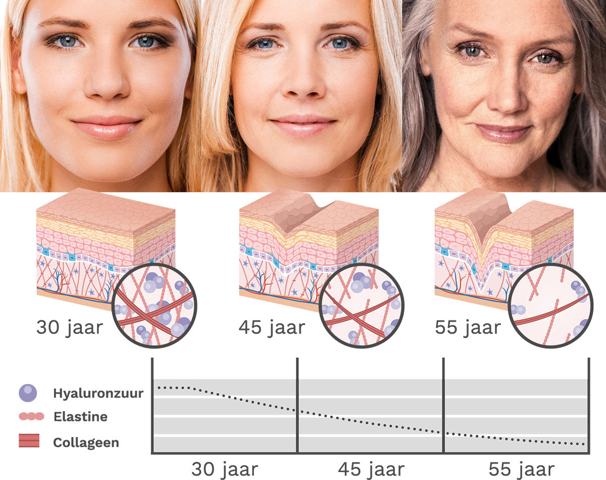 Anti-Aging Collagen Complex RevitalTrax