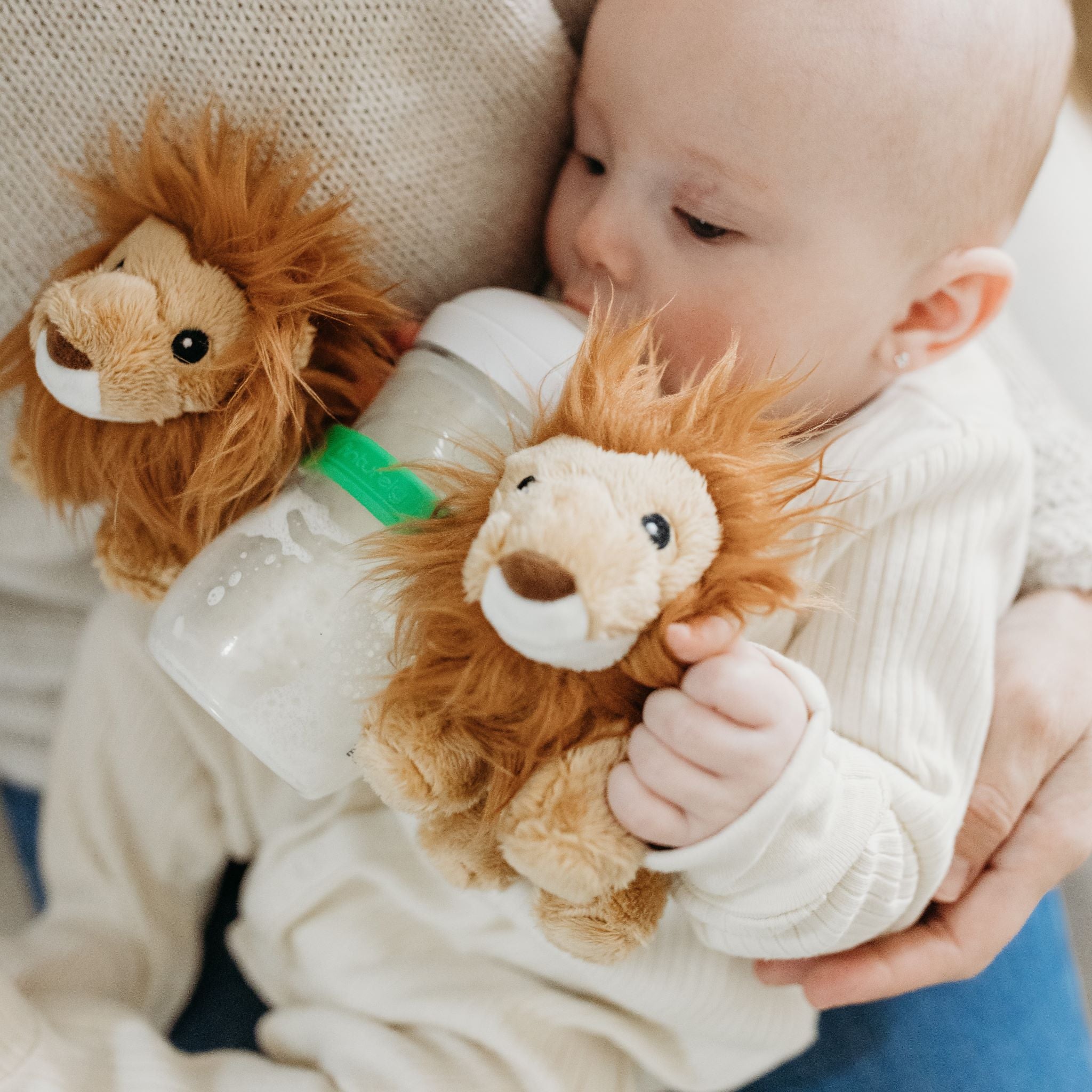 Bottle Buddies Lion