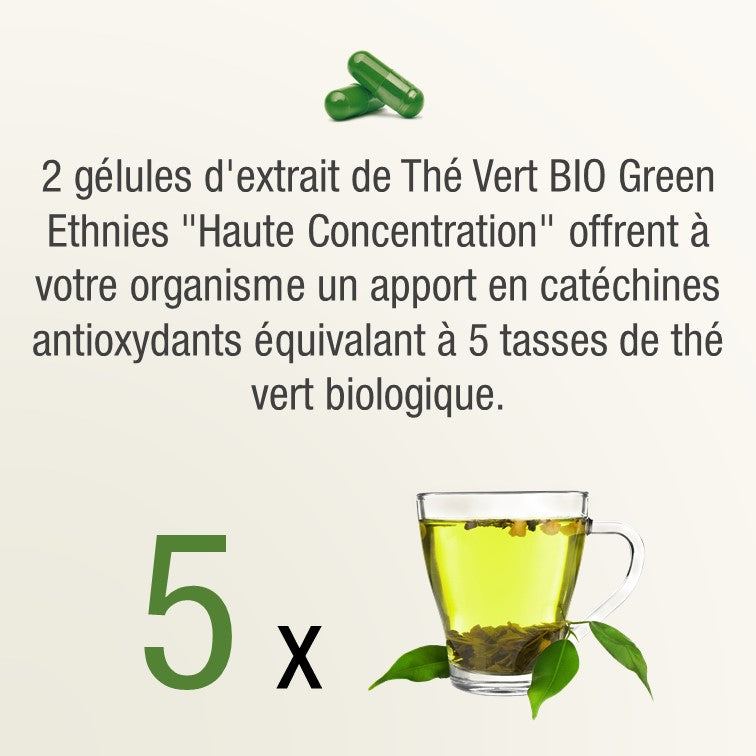 Thé Vert BIO extrait concentré naturel qualité