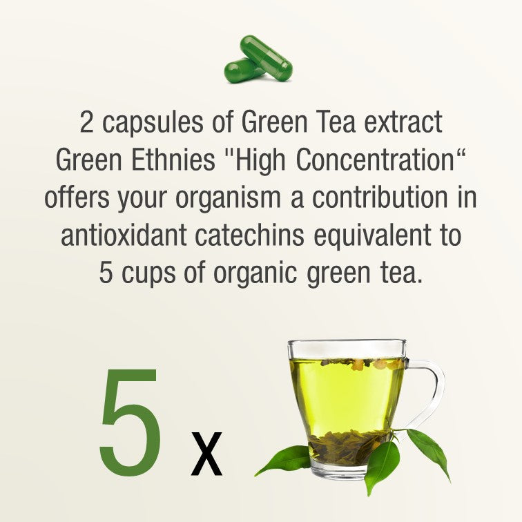 Organic Green Tea extract concentrate natural quality