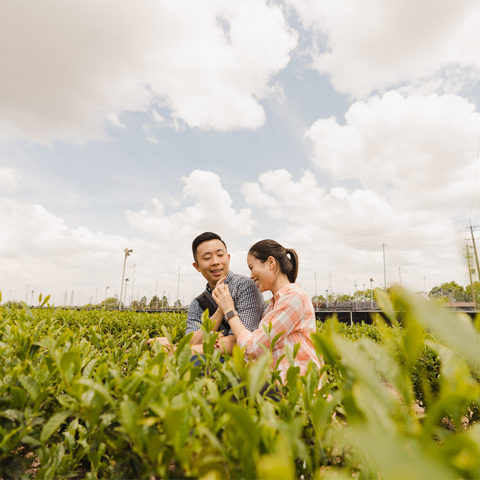 2 of our founders, Jeremy and Anna, picking tea leaves at our matcha farm in Uji, Japan.