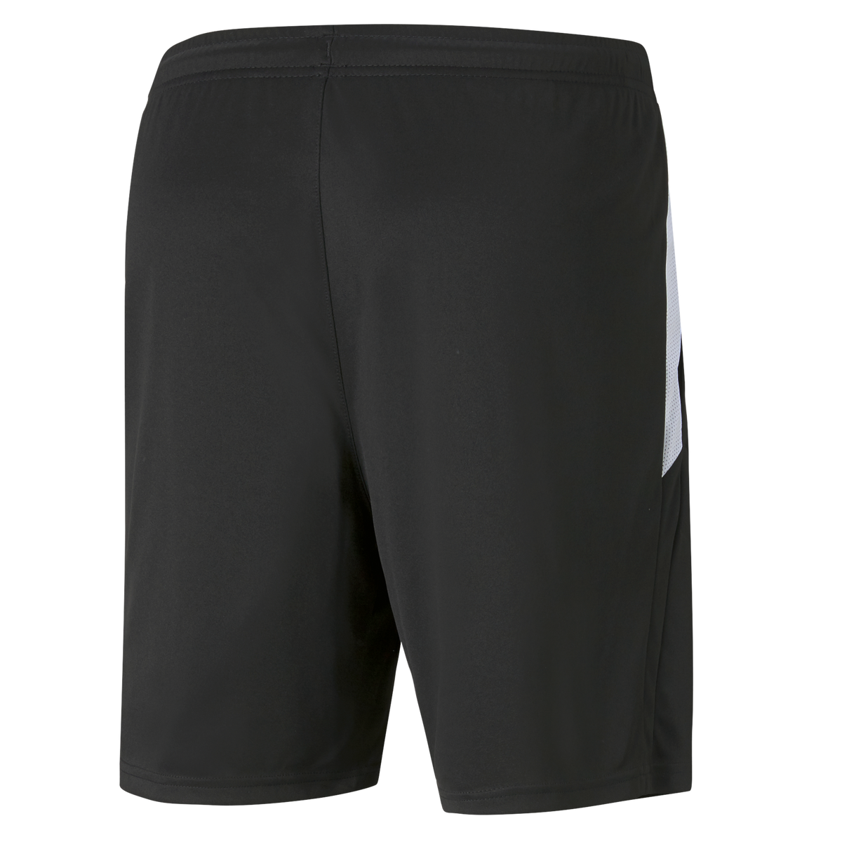 Puma Team Liga Training Shorts (Black) – Customkit.com