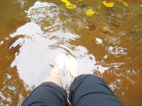 On meditation with Steve Nobel in Glastonbury's Chalice Well