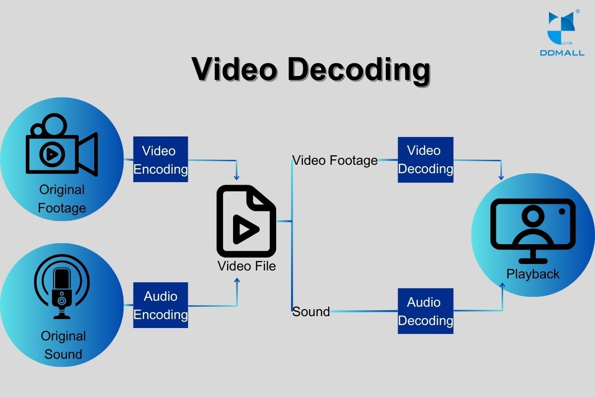 video decoding-DDMALL