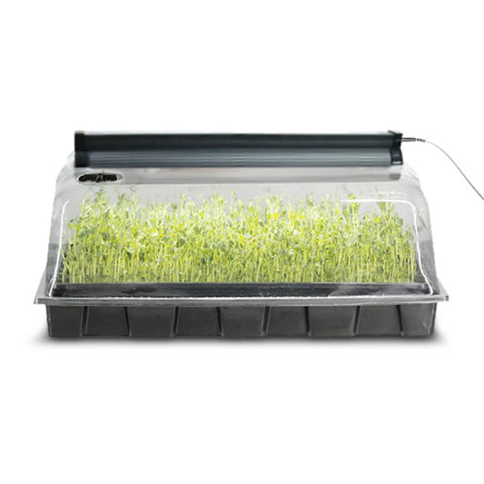 AquaSprouts Garden Bundle - Desktop Aquaponics System