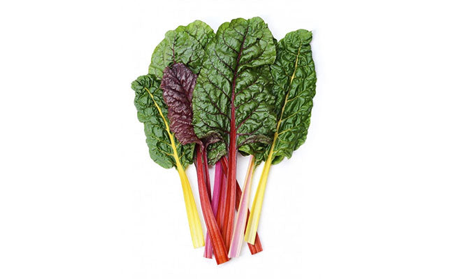 Rainbow Swiss Chard Aquasprouts