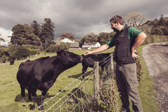 Jonathon with Aberdeen Angus cow