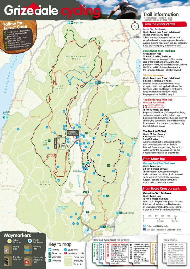 Grizedale trails