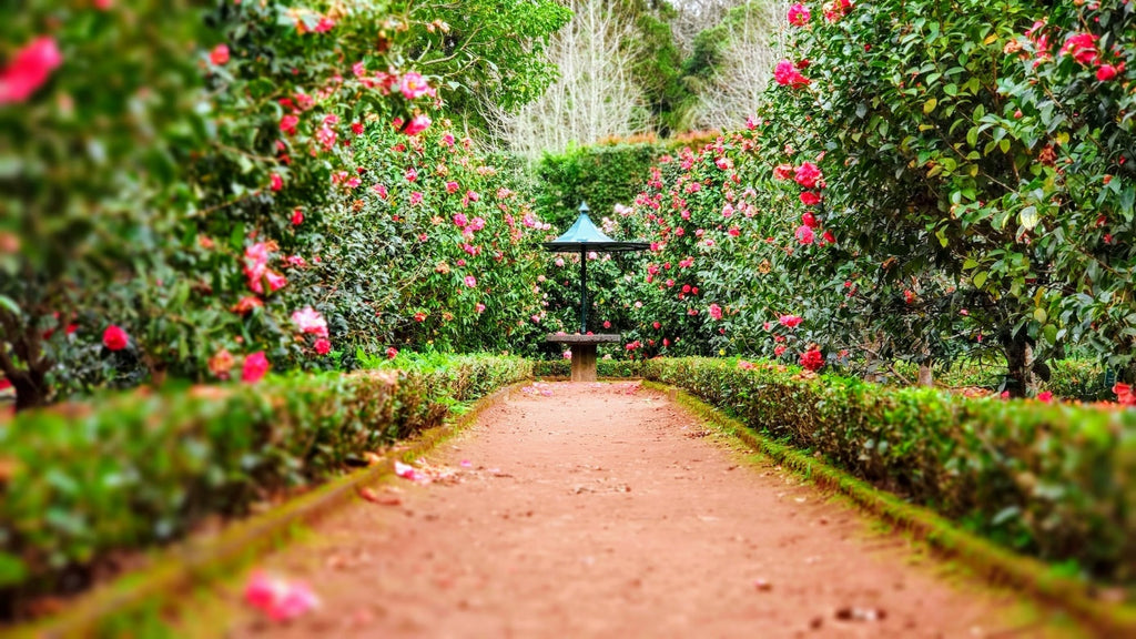 Comment aménager un jardin