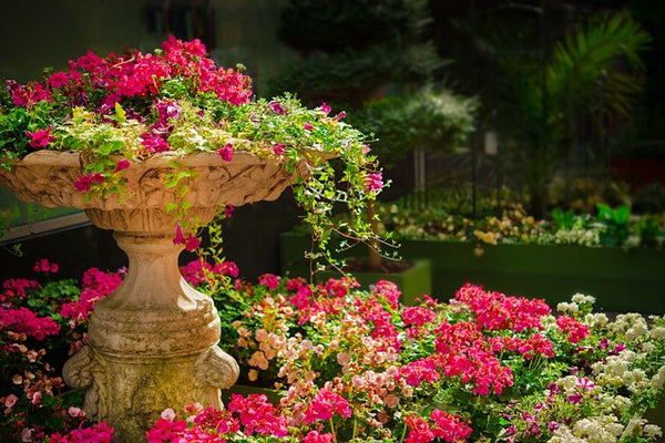 grand pot de fleur en pierre jardin