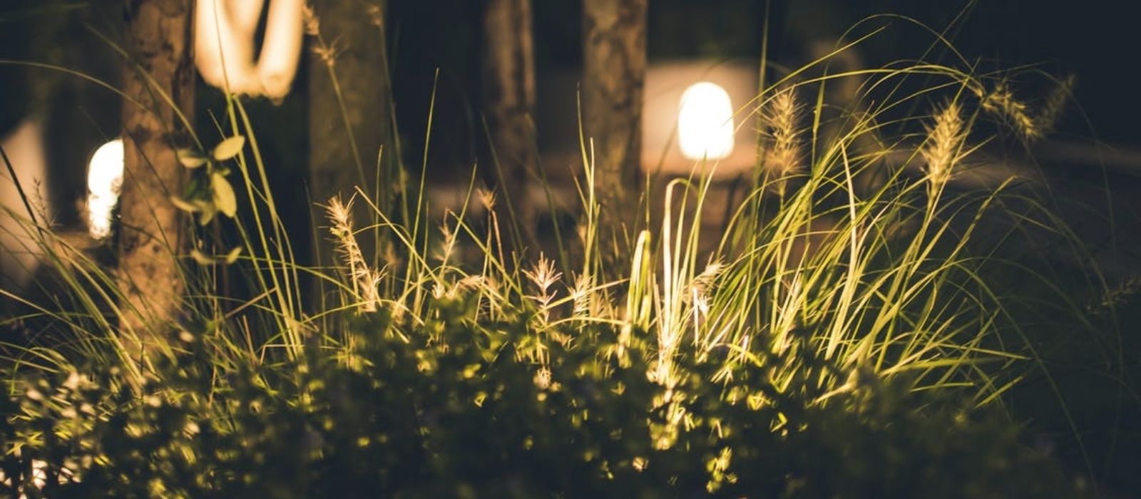 jardin-led-plante-lampe-solaire-exterieur-lampe-solar