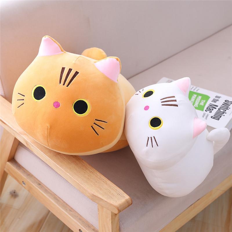 Chonky Cats Cat Chonky Chonky Cat Plushie Chonky Shop