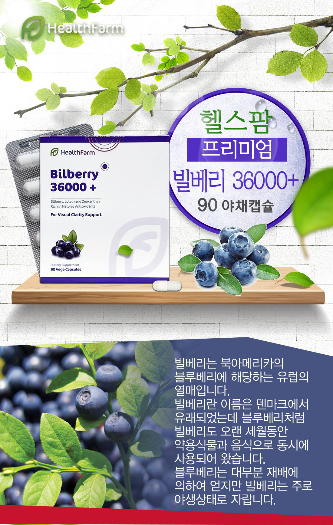 헬스팜 빌베리36000