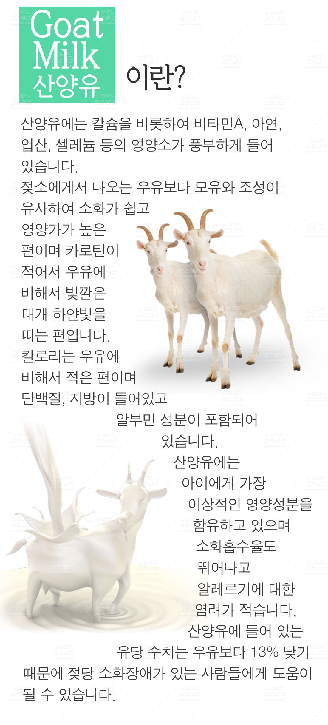 뉴와이즈 산양유초유