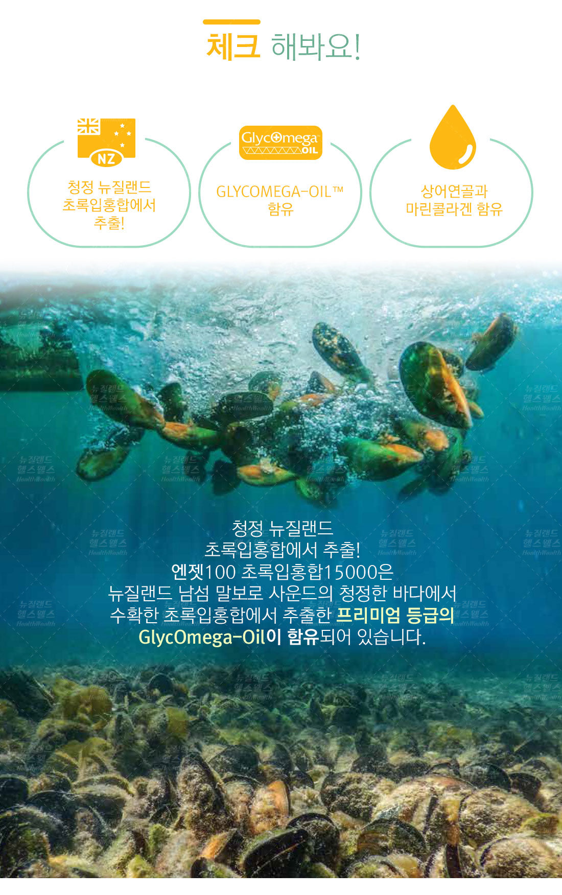 NZ100 초록입홍합15000