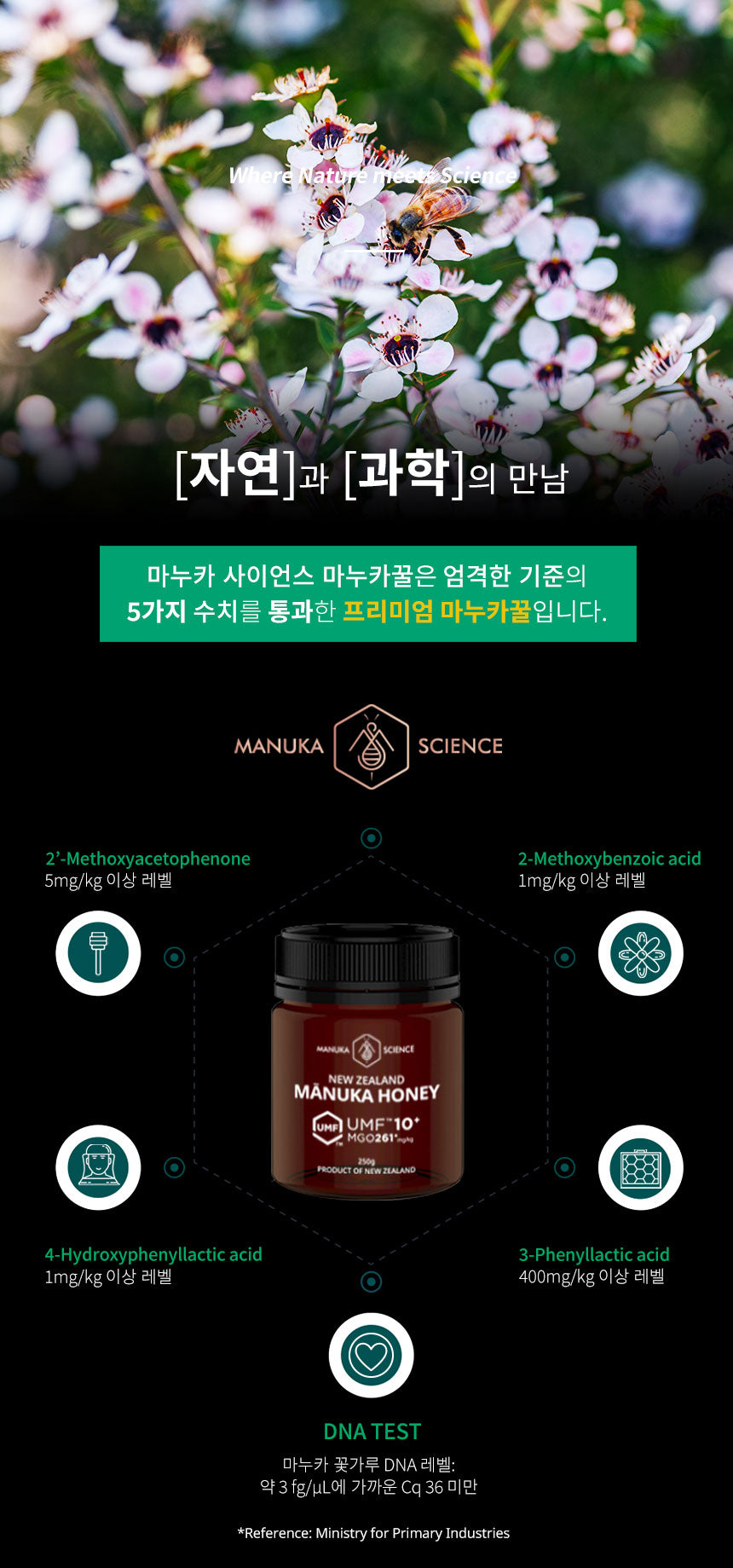 마누카 사이언스 마누카 꿀 UMF 10+ 250g