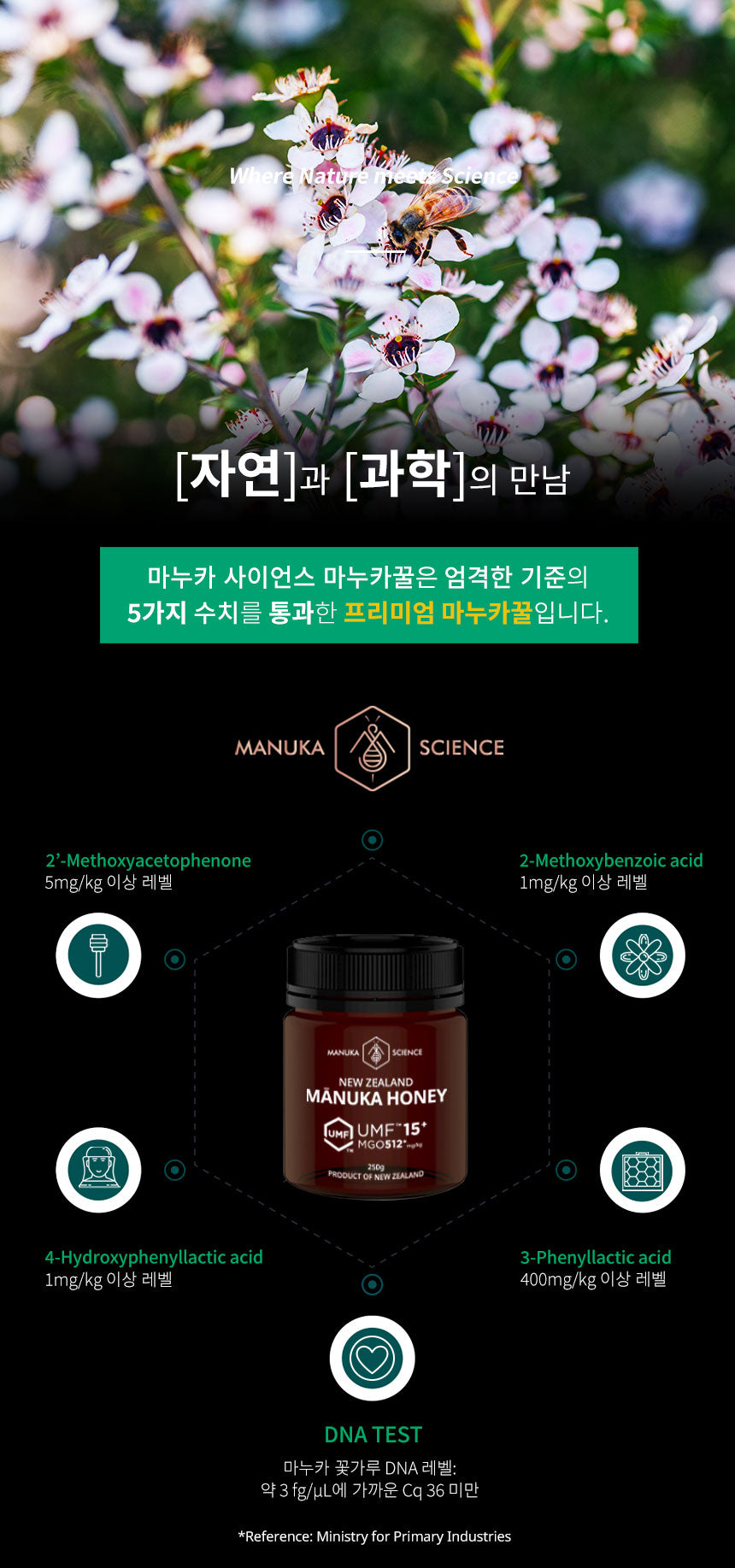 마누카 사이언스 마누카 꿀 UMF 15+ 250g