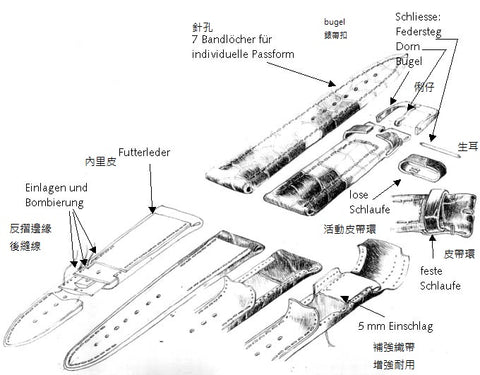 Strap structure and materials of each part