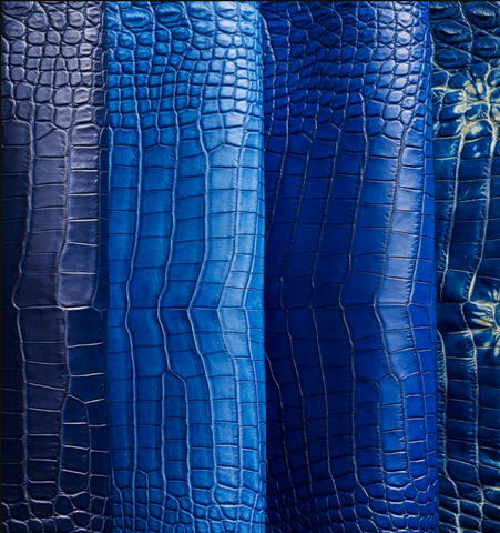 Procédé de teinture à l'indigo Cuir de crocodile teint à l'indigo Teinture en bleu Teinture à l'indigo