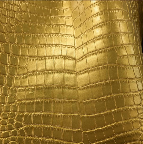 貼膜鱷魚皮 金色鱷魚皮 golden crocodile leather