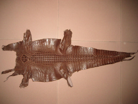 暹羅鱷魚皮革