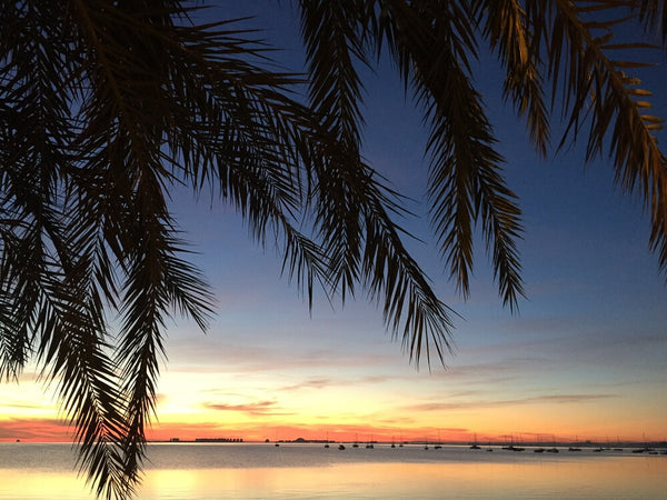 bike paths everywhere, palm trees, the smell of the sea and views