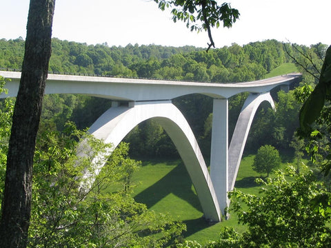 Admiring the Beauty of the Natchez Trace Parkway