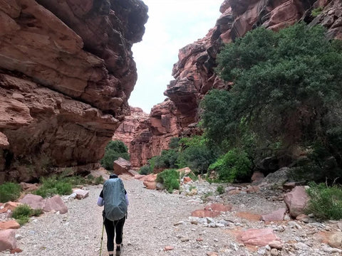Havasupai hike Ultimate guide for first timers