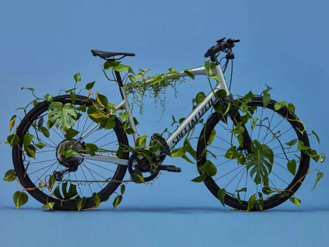 hybrid bike contribute to reducing your carbon footprint