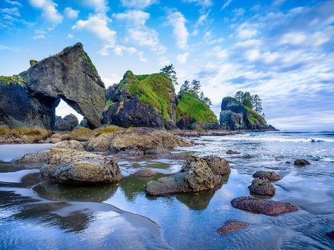 The best things to do in Olympic National Park