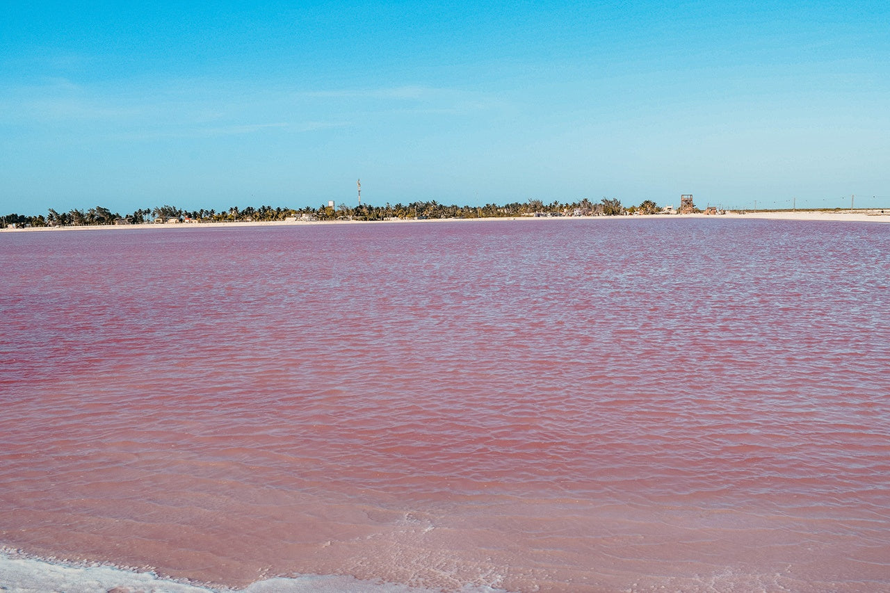 Pink lake Las Coloradas