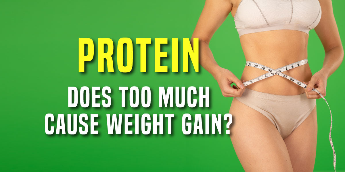 can-too-much-protein-make-you-fat