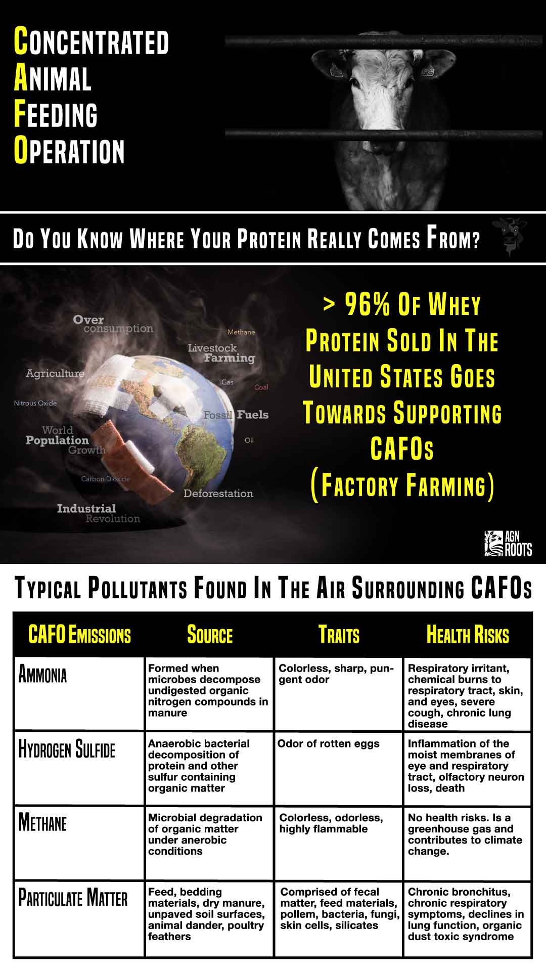 What Does CAFO Mean? AGN Roots Grass-Fed Whey